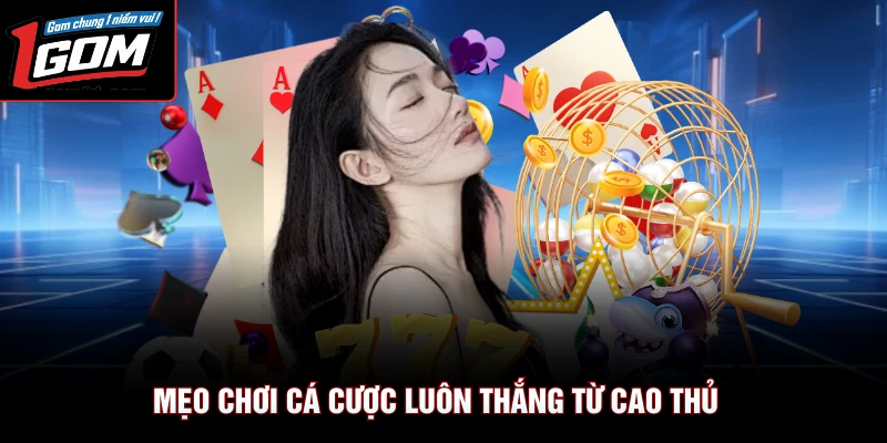 Blackjack 3D - Game Bài Giải Trí Số 1 Tại 1gom Uy Tín 4 Mẹo chơi cá cược luôn thắng từ cao thủ